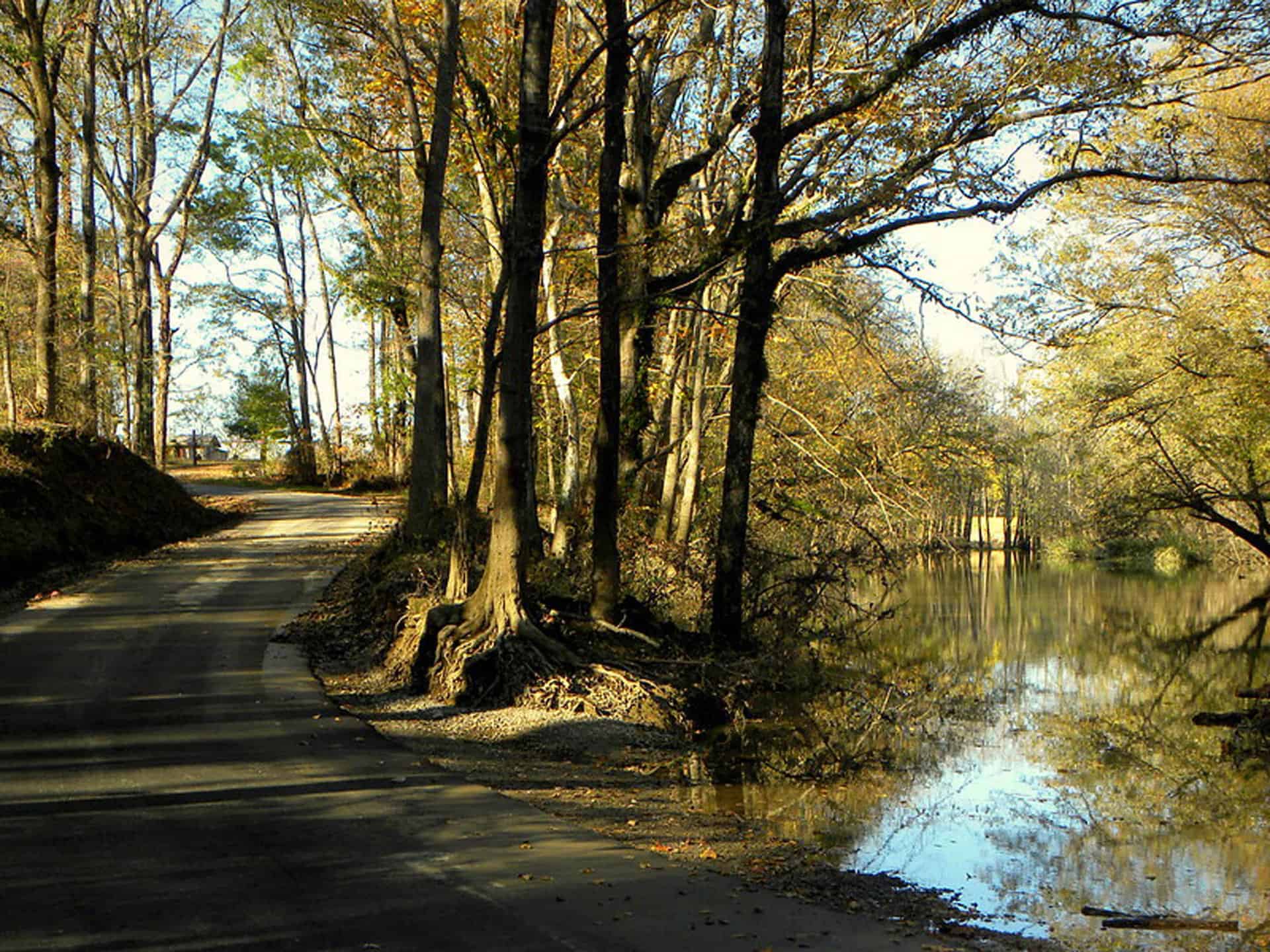 1 Haskell Car Accident Attorney Best Arkansas Car Accident Attorney